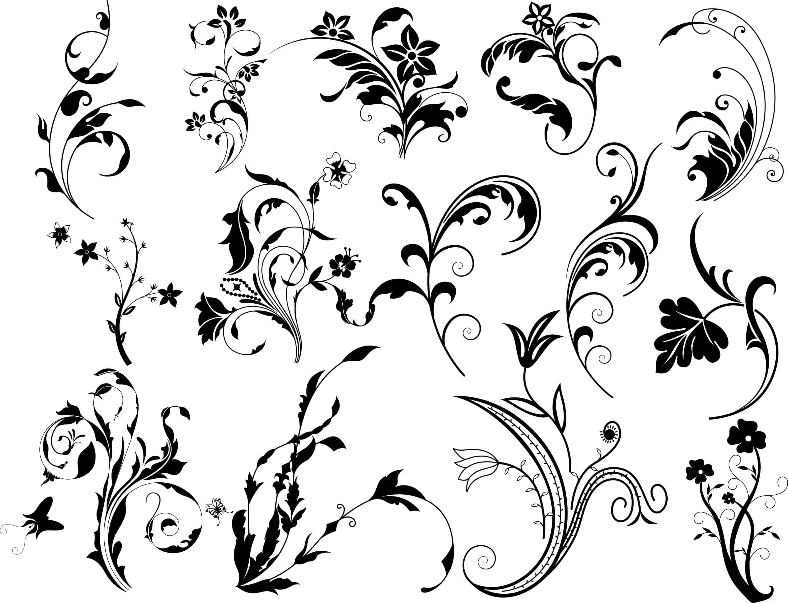 Swirl Floral Vectors Set