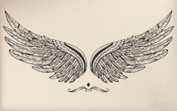 Vintage vector wing