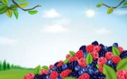 Berry blend background vector 02
