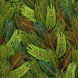 Christmas fir branches seamless pattern vector 01