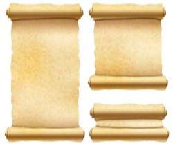 Vintage paper scrolls banners vector 04