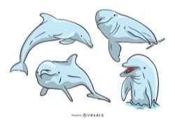 Bottlenose Dolphin Set