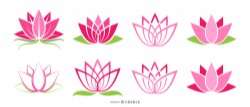 Lotus icons set