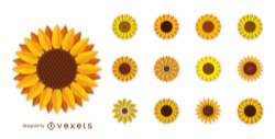 Set of sunflower illustrations