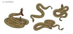 Snake Colored Illustration Set