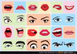 Vector Face Elements