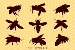 Bee insect silhouette pack