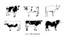 Black And White Picture Series Of A Painted Cow Vector