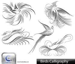 Creative Calligraphic Bird Pack