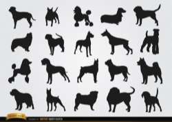 Dog breeds silhouettes