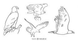 Eagle Vector Set