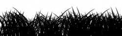 Grass Silhuoette