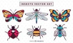 Hand drawn insect illustration set