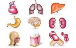 Medical Illustration Pack