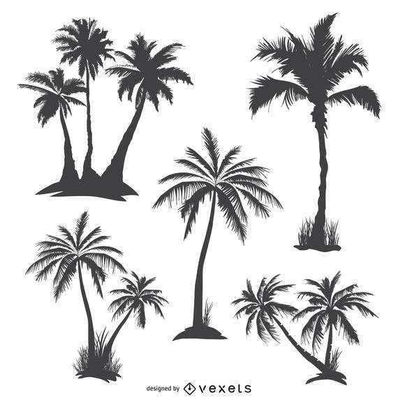 Monochrome palm trees silhouettes