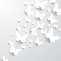 Paper Butterflies