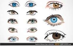 Realistic Woman Eyes Collection