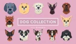 Set of dog illustrations