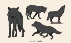 Wolf illustration in several poses