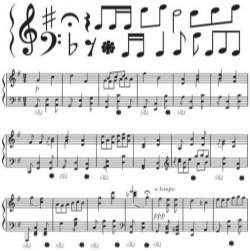 Sheet music symbols vector