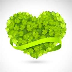 Leaves set love vector