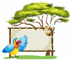 A notice board, a bird and a honey bee