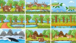 Background scenes of animals in the wild