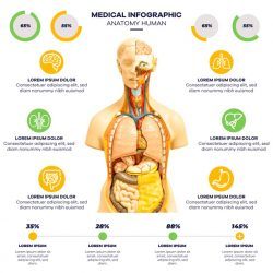 Infographic medical with image