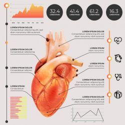 Infographic medical with photo
