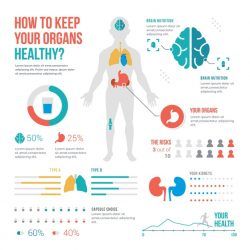 Medical healthcare infographic