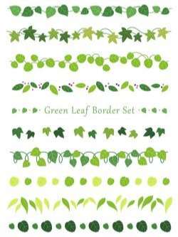 A set of assorted leaf borders