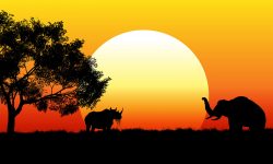 African safari scene at sunset