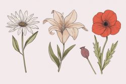 Colorful vintage botany flower collection draw