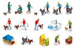 Dog ordinary life isometric icons