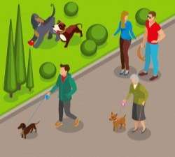 Dog walking isometric illustration