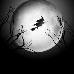Halloween background with witch flying in the sky