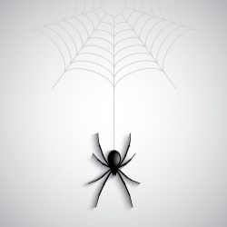 Halloween spider background