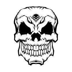 Skull graphic