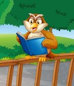 An owl reading a blue book