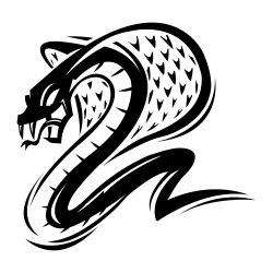 Deadly cobra snake illustration