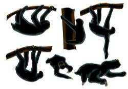 Sloth Animal Silhouette