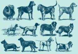 Vintage Blue Dog Illustration