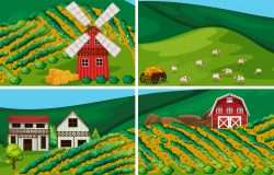 Farmland