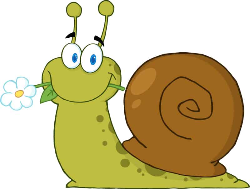 Cartoon snail holding flowers vector material