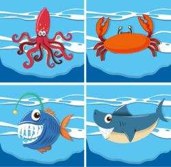 4 cartoons of marine biological vector material