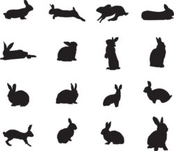 A collection of Rabbit silhouettes