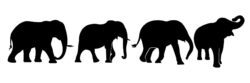 A set of elephant vector silhouettes