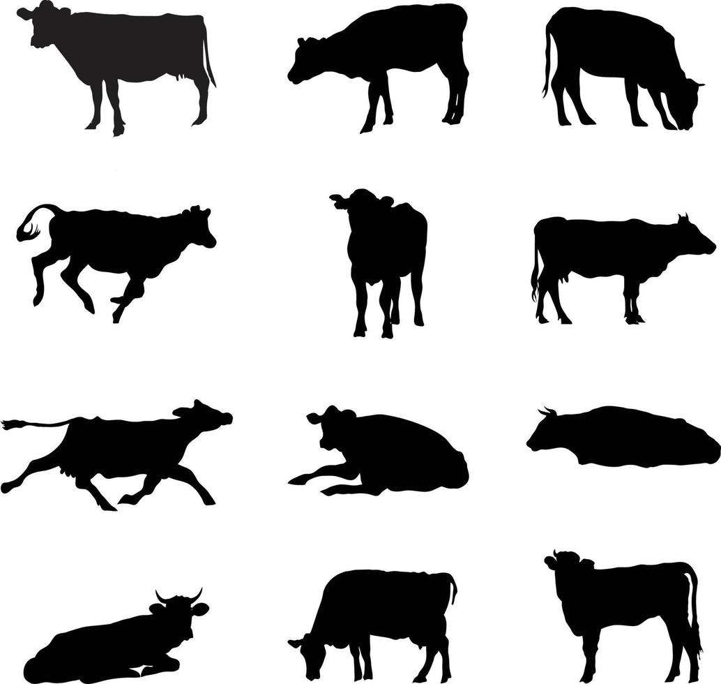 A vector silhouette collection of cows
