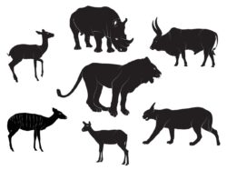 African animals silhouette vector