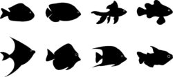 Aquarium Goldfishes Vector Silhouette